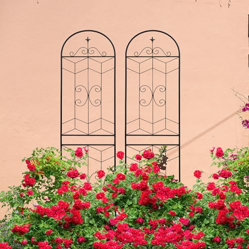 2 Pack 87x20in Garden Trellises with Black Metal Coating