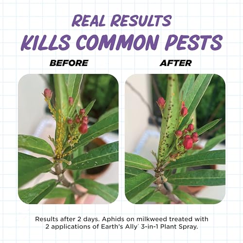 3-in-1 Plant Spray for Pests & Disease, 24 Oz (24 Fl Oz, Ready to Use)