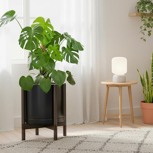 Ceramic Pot with Walnut Wood Stand (14 Inch / Black Pot + Walnut Color Stand)