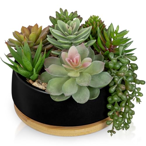 Artificial Succulent Plants in Pot 5.5 Inch Fake Succulents Arrangement Potted Plant in Black Ceramic Planter Bowl with Wood Saucer for Home Office Desk Shelf Living Room Bedroom Bathroom Decor (Black Ceramic With Saucer#style 2)