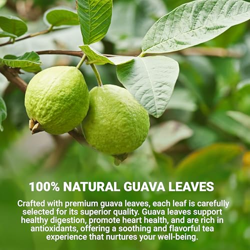 Guava Leaf Tea Bags (80 Count)