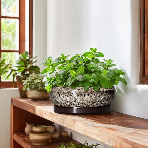 Succulent Pots 10 Inch (10 Inch / Leopard Brown-white)