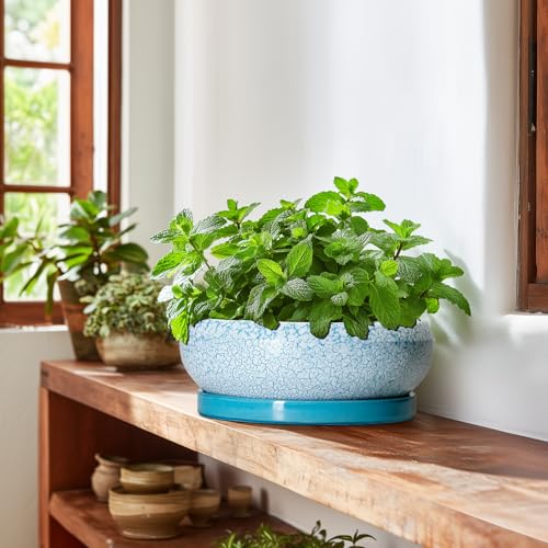 Bonsai Pots 10 Inch (10 Inch / Blue-white)