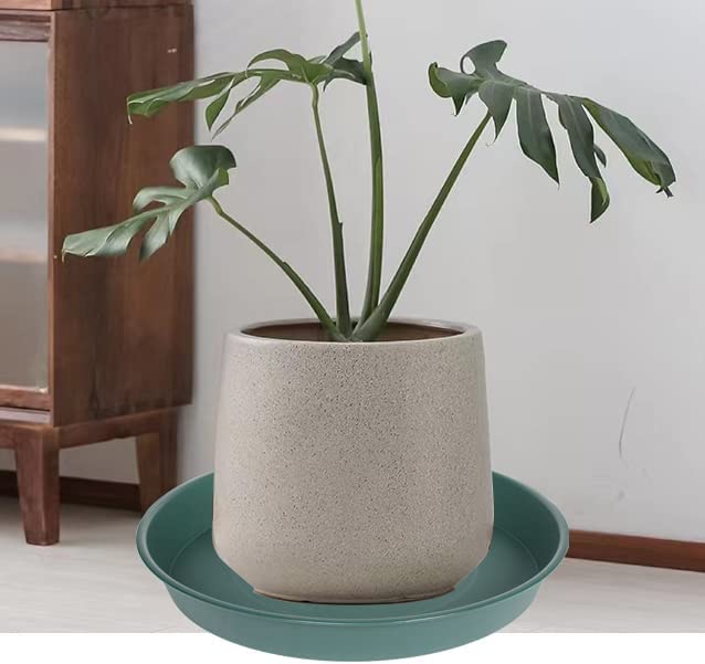 2 Pack of Bird Bath Bowl 19"