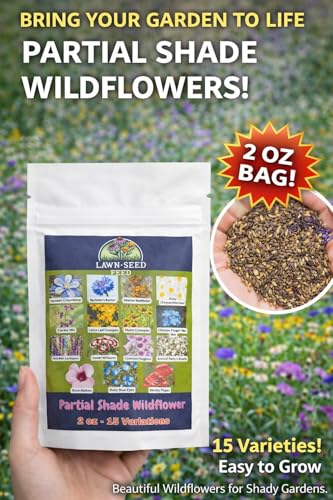 Partial Shade Wildflower Mix Seed (2 oz)
