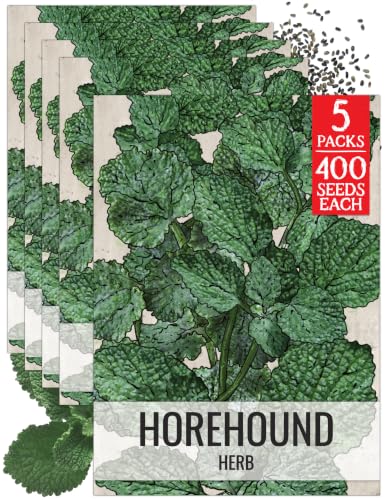 Herb Seeds to Plant Horehound (5 Packs)