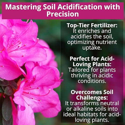 8-4-8 Acidic Fertilizer for Azaleas, Camellias (Camelia), Hydrangeas, Blueberries, Gardenias, Magnolia Trees, Evergreens, and Rhododendrons - Ideal Iron-Rich Plant Food (2 QUARTS) (64 Ounce)