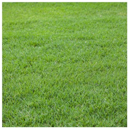 Brand Majestic Hulled Bermudagrass Seed