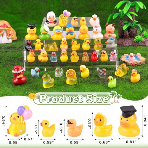 40PCS Mini Resin Ducks Little Ducks (Various Ducks-40pcs)