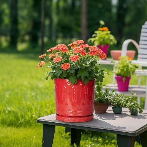 Plant Water Catcher Tray (7.5" / Red)