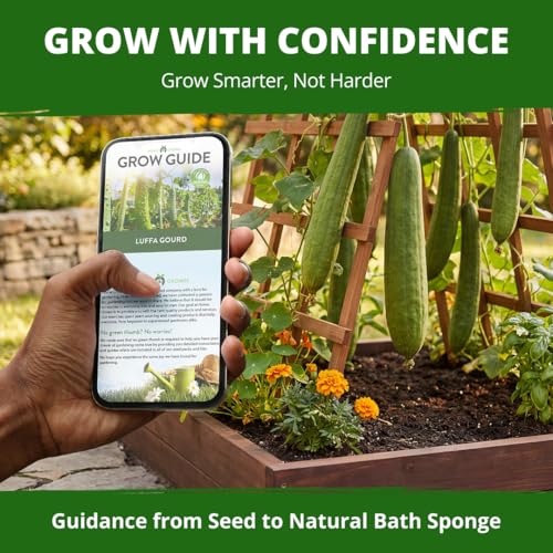 Luffa Loofah Gourd Seeds