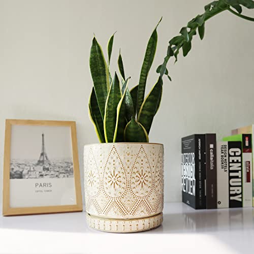 8 Inch Indoor Plant Pot with Drainage Holes and Saucers (3 Count)