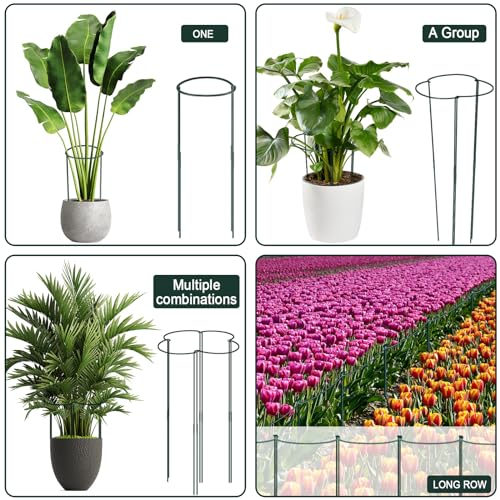 12 Pack 10" W x 32" H Plant Support Stakes (10" Wide x 32" High)