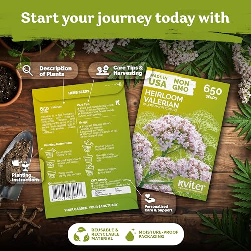 650 Valerian Heirloom Herb Seeds for Planting