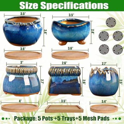 5PACK Glazed Bonsai Planter 3" Small Succulent Pots (5pcs Pots With Trays)