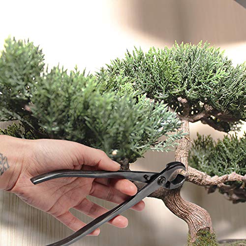 Bonsai Tool Kit (2 Count)