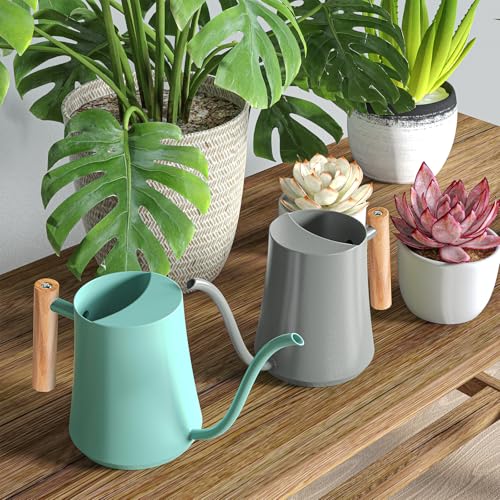 1L 35oz Metal Watering Can Indoor with Long Spout (Gray)