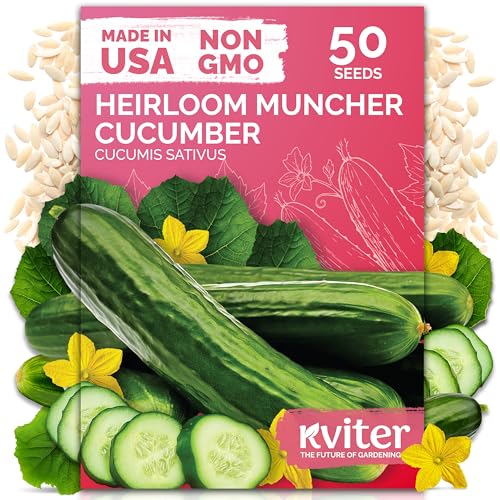 50 Muncher Cucumber Heirloom Vegetable Seeds for Planting