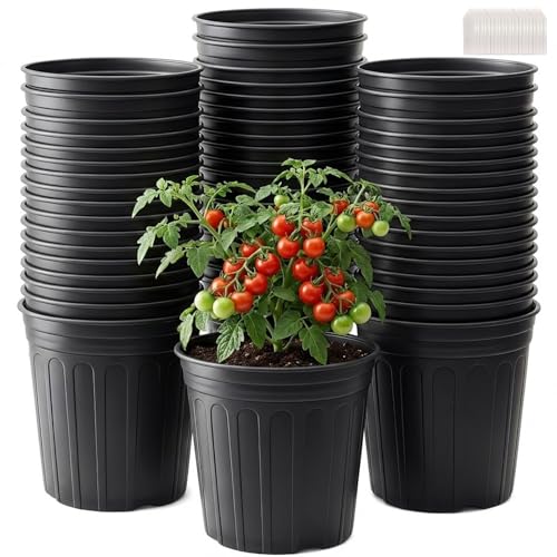 50 Pack 2 Gallon Flexible Plant Nursery Pots for Plants with Drainage Holes (2 Gallon)