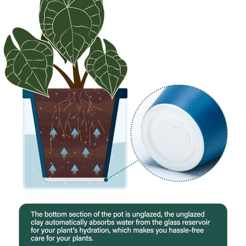Self Watering Blue Terracotta Planter (2 Count)
