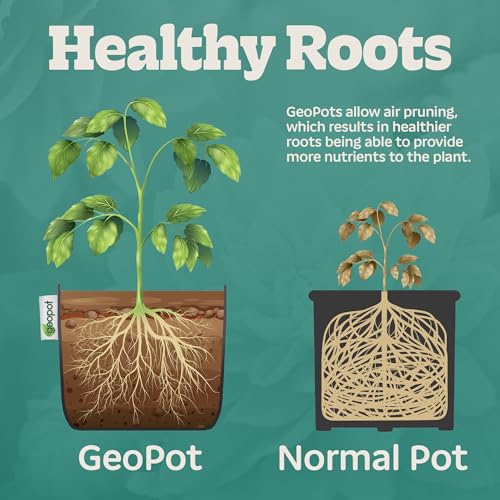 3 Gallon Fabric Grow Bags (10 Count)