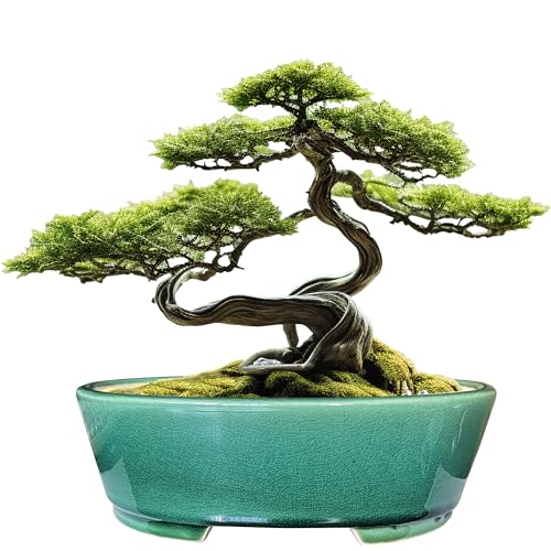 2pcs Green Ceramic Bonsai Planter Pots with Bamboo Tray 6.2 “ & 5.3” (Crackle Glazed 9")