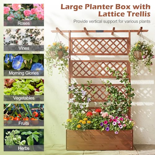 Raised Garden Bed with Trellis 2 Pack (Brown / 60"Lx22"Wx72"H)