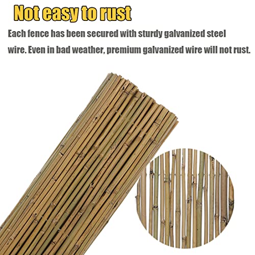4Ft High x 6 Ft Long x 0.7In D Bamboo Screen (24 Sq Ft)