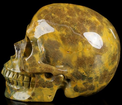 5.0” Ocean Jasper Crystal Skull (5.0 Inches Ocean Jasper 9)