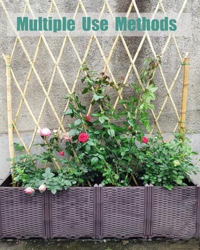 5 Ft Bamboo Stakes with 100 Twist Ties Natural Bamboo Garden Stakes for Dahlias Cucumber Grapes Pole Beans Trees Potted Dahlia Flowers and Climbing Plants (60 Count)