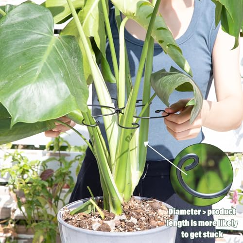 5PCS Black Monstera Plant Stem Support (Black / 7.5IN*7.5IN)