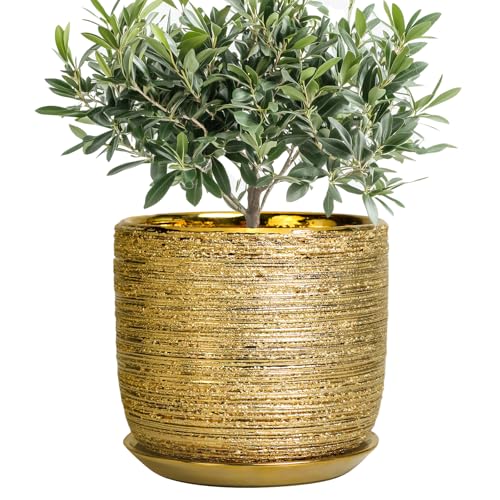 8 Inch Plant Pot