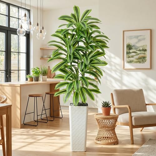 Artificial Dracaena Tree (Light Green – White Pot / 7FT)