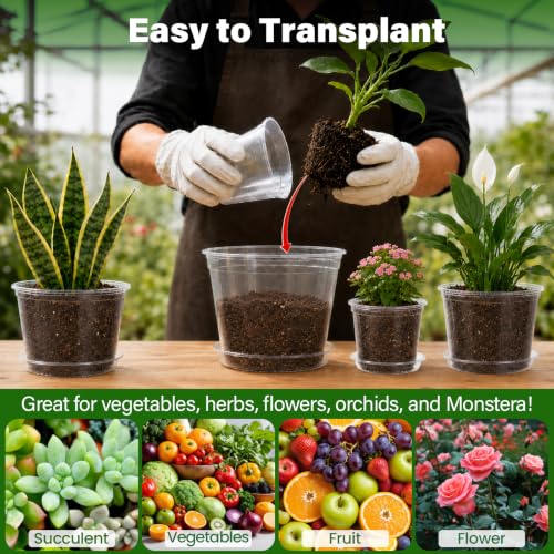 Clear Nursery Pots with Saucers (6/8/10/12 Inch-20Pcs)