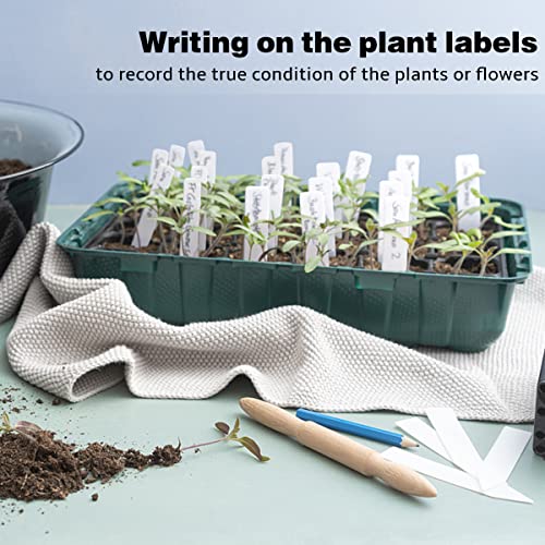 Plant Labels 4 Inch 300Pcs Plastic Plant Name Tags for Seedlings (300 Count)