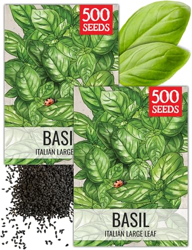 Italian Basil Seeds to Plant Heirloom Non (2 Packs)