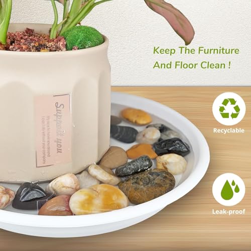 7Pcs Plant Saucer Tray (6in（7pcs） / Dark Gray)