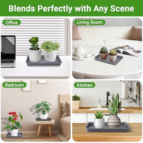 Grey Plastic Trays 11 Inch (11 Inch / Gray)
