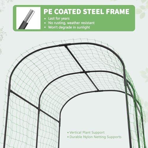 Garden Arch Trellis (71" L x 47.2" W x 83" H)