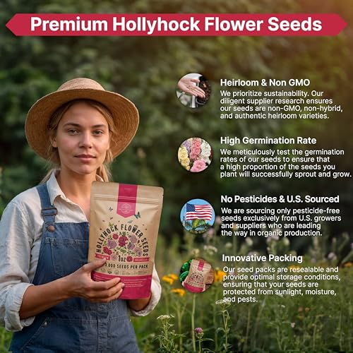 Hollyhock Flower Seeds Pack 1 oz