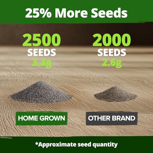 Ivory Castle Poppy 2500 Flower Seeds Eschscholzia californica