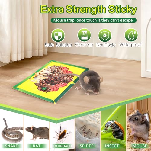 12 Pack Sticky Mouse Traps (12 Count)