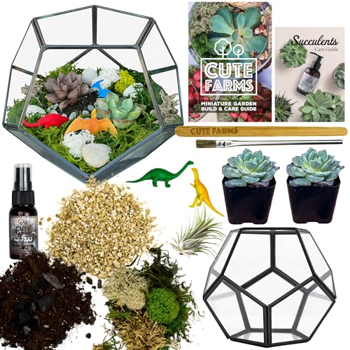 Glass Terrarium Kit