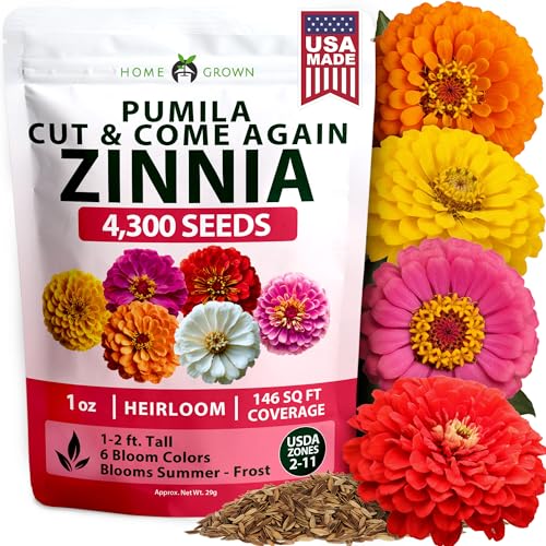 Zinnia Seeds Pumila Mix