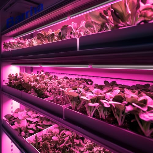 T8 LED Grow Light (Pink / 2ft-6 Packs)