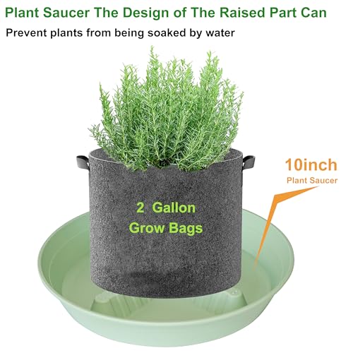 4 Pack Plant Saucer 10 inch (10"-4 Pack / Light_Green)