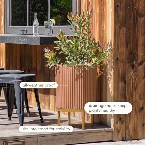 Demi Series Raised Planter (2 Count)