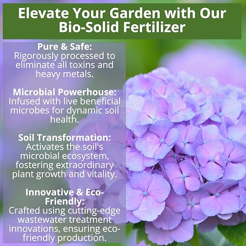 8-4-8 Acidic Fertilizer for Azaleas, Camellias (Camelia), Hydrangeas, Blueberries, Gardenias, Magnolia Trees, Evergreens, and Rhododendrons - Ideal Iron-Rich Plant Food (12 OZ) (12 Ounce)