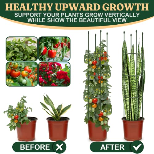Round Heavy Duty Tomato Cage