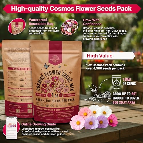 Cosmos Flower Seeds Pack 1 oz